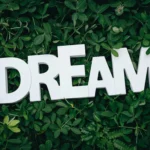 Dream: Unlocking the Door to Success