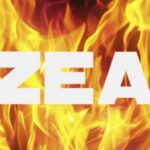 Zeal: The Fire That Drives Success